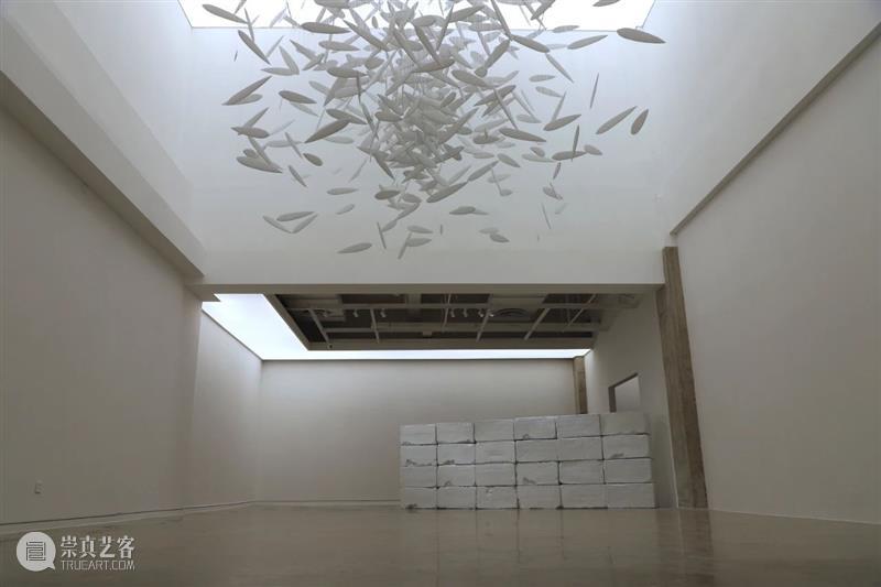 【实验空间·人物随访】白纸—刘建华个展 视频资讯 人物随访 人物 个展 白纸 刘建华 空间 雕塑 领域 青年 艺术家 实验性 崇真艺客